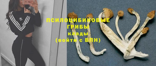 стаф Нефтекумск