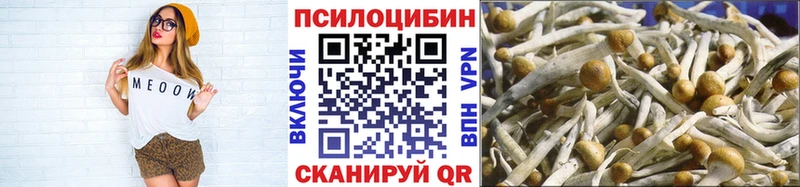 Псилоцибиновые грибы мицелий  Купить  Магадан 