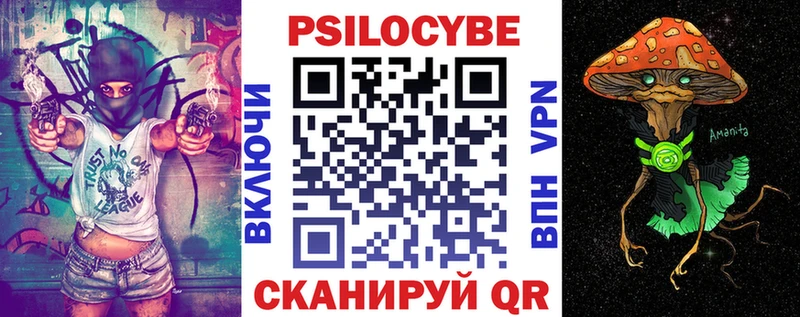 Псилоцибиновые грибы Psilocybine cubensis Магадан